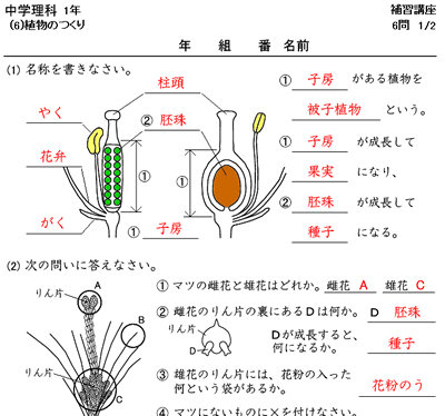 中学理科 中１ ３の復習 時空先生のドリルプリント