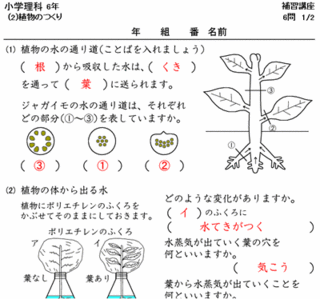 145 時空先生のドリルプリント